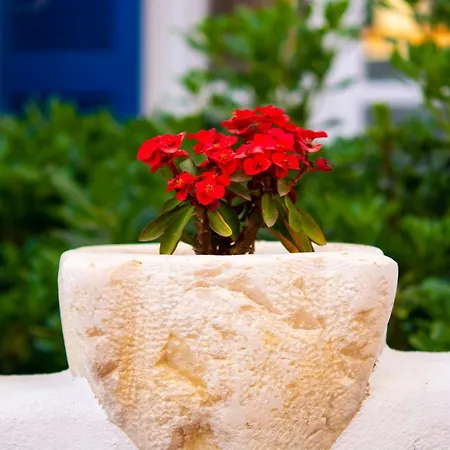 Quartano Paros Apartment Naousa (Paros)