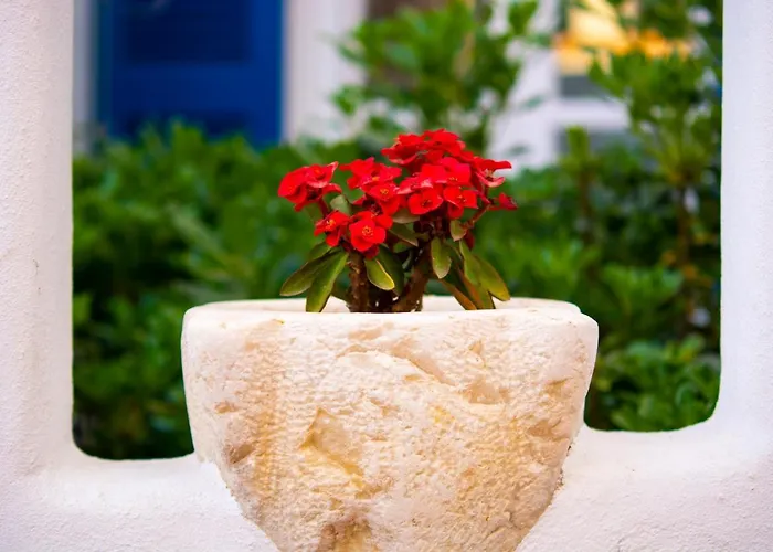 Quartano Paros Apartment Naousa (Paros)